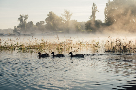 Borítókép: Kislányok könnyei vagy vízzé változtatott medvék alakították a Tiszát? Érdekes legendák nyomába eredtünk