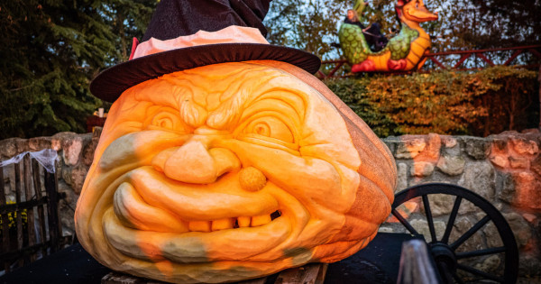 Borítókép: Halloween a Familyparkban