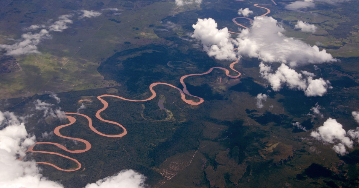 Amazonas