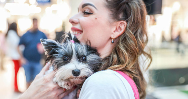 Borítókép: Nézd vissza a legcukibb pillanatokat! Ilyen volt a 2023-as Kutyával a zöld szőnyegen - FOTÓK