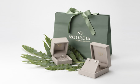 Borítókép: NOORDIA, a megfizethető gyémántélmény...