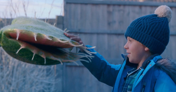 Borítókép: Az év csalódása? Megérkezett a John Lewis várva várt karácsonyi reklámja, ám zsepire ezúttal nem lesz szükség