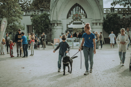 Borítókép: Különleges sorsot beteljesítő négylábúak: a vakvezető kutya élete – Interjú