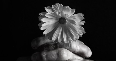 Borítókép: Óriási veszteség: híres emberek, akiket 2023 vett el tőlünk