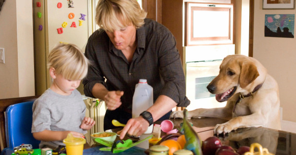 Borítókép: 11 dolog, amiben a kutyám hasonlít a gyerekeimre: a toporzékolástól a szelektív hallásig