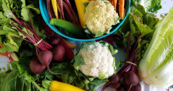 Borítókép: Az orvosok állítják: A táplálékkiegészítők helyett ebből a szupertápanyagból kellene többet enned, ami még a rák ellen is felveszi a harcot