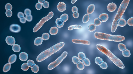 Borítókép: Elég egy apró sérülés: így támad a húsevő baktérium, ami nem is olyan ritka!