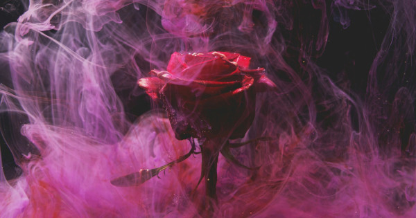 Borítókép: A Valentin-nap igaz története: régen a szerelem helyett egészen mást ünnepeltek február 14-én