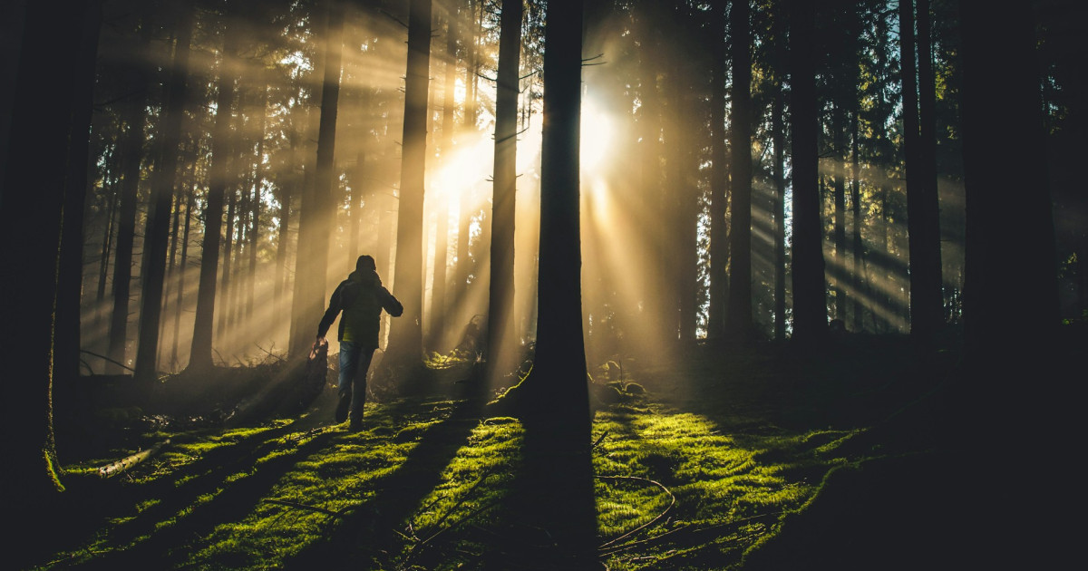 személyiségteszt, teszt, önismeret, szituációs teszt