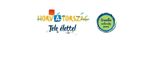 Kép