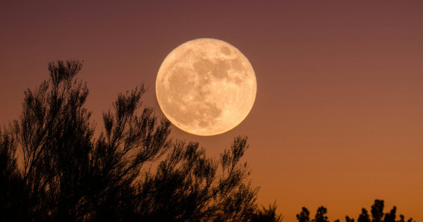 Borítókép: Holdhoroszkóp: Ezt a titkot árulja el a Holdjegyed rólad 