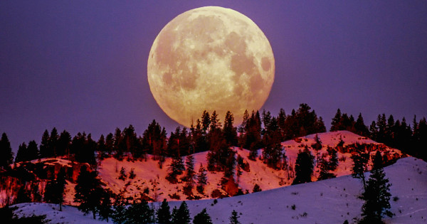 Borítókép: Vajon te vagy az? 3 csillagjegy, akire nem várt hatással lesz a februári telihold