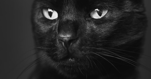 Borítókép: Ez lesz a legszerencsétlenebb napod 2024-ben a csillagjegyed szerint