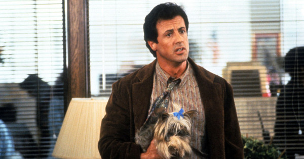 Ezek a sztárok szívből gyűlölték egy-egy szerepüket