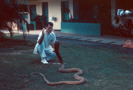 Borítókép: A férfi, aki túlélt 172 kígyómarást: Bill Haast 100 évig élt