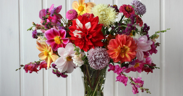 Borítókép: Így tarthatod életben kétszer annyi ideig a vágott virágot! 