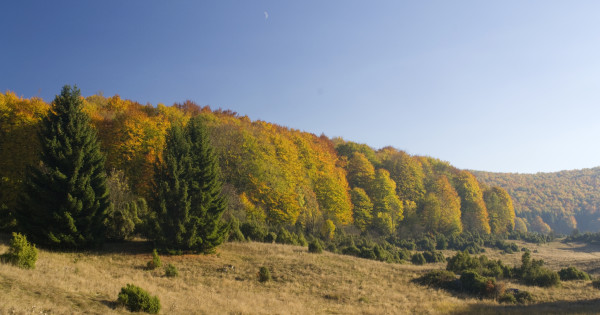 Borítókép: 8 mesés falu a Bükkben, amit érdemes meglátogatnod: elbűvölő kincsekre bukkanhatsz!