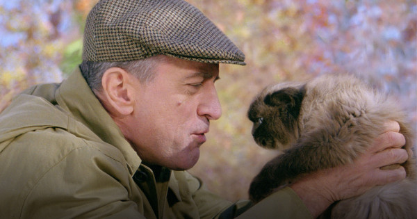 Borítókép: Nemcsak Artúr a király: 20 állati filmsztár bizonyítja, nem mindig az ember a lényeg