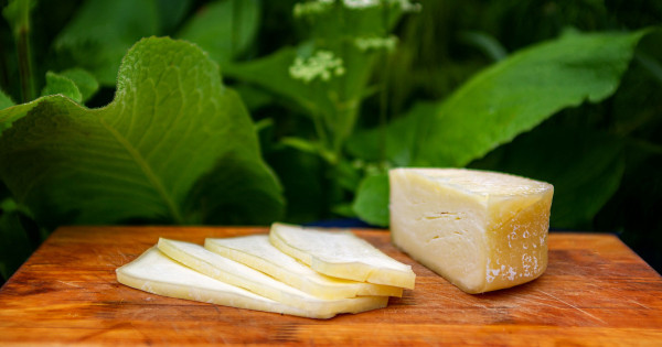 Borítókép: 5 sajt, amivel centiket faraghatsz le a hasadból a dietetikusok szerint