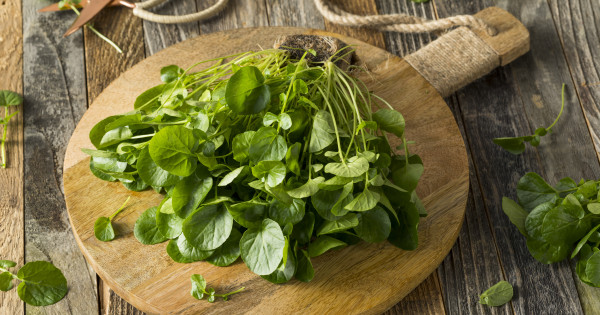 Borítókép: A vízitorma a világ legegészségesebb zöldsége: 7 ok, ami miatt egyél többet belőle