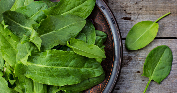 Borítókép: A magas vérnyomás legjobb ellenszere: rengeteg vitaminban gazdag ez a szezonális étel