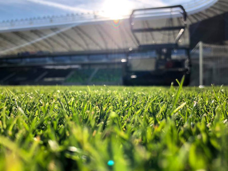 Borítókép: „Tévhit, hogy a környezettudatosság és a szép pázsit nem fér meg egymás mellett” – Interjú Figder Molnár Gábor gyepszakértővel