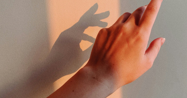 Borítókép: 10 tejmentes, kalciumban gazdag étel, ami megelőzheti a csontritkulást