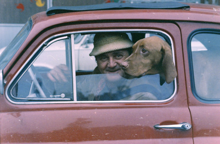Borítókép: Nálatok laknak-e állatok? Csodás kutyák régi fényképeken