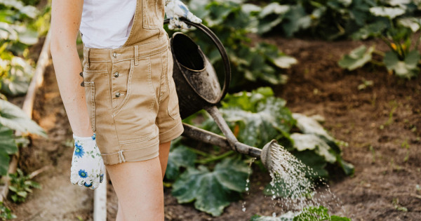Borítókép: 13 csodaszép virág és egészséges zöldség, melyet májusban még elültethetsz