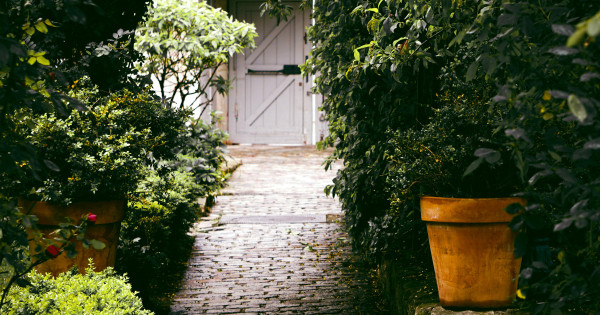 Borítókép: Már nem divat a virágcserép, a kertguruk ebbe ültetik a növényeket! Avagy 5 kültéri lakberendezési trend, ami megy és 5, ami jön helyettük