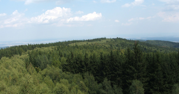 Borítókép: 10 kilátó Magyarországon, ahonnan elképesztő látvány tárul eléd