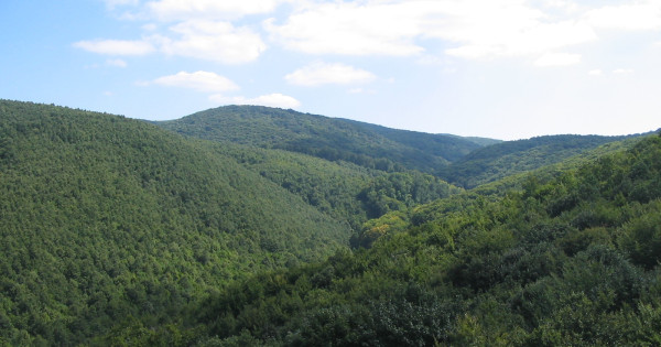 Borítókép: 5 varázslatos és vadregényes völgy Magyarországon, amit egyszer látnod kell