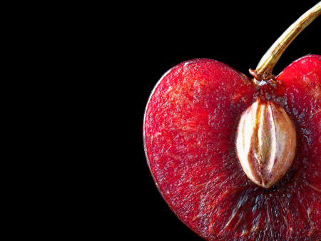 Borítókép: 9 gyümölcs, aminek mérgező a magja: a gyerekek esetében különösen fontos, hogy sose nyeljék le őket!