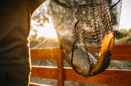 Borítókép: Unod a rántott halat? 5 ínycsiklandó halas recept a nyárra Andrejszky Zoltántól!