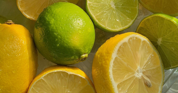 Borítókép: A 8 legerősebb étel ráncok ellen: hialuronsavban bővelkedő források