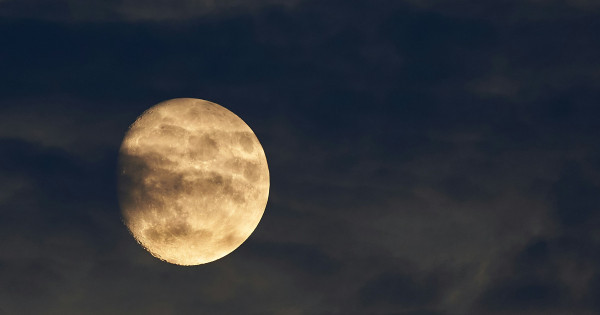 Borítókép: Jobb felkészülni: 4 csillagjegy, akiknek szerencséje katasztrofális fordulatot vesz az Oroszlán-szezonban