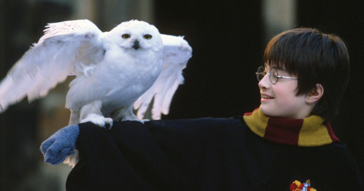 Harry Potter és a bölcsek köve