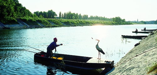 Borítókép: A halászlé városa: bajai (és gemenci) kisokos