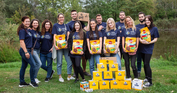 Borítókép: Még mindig sok kutya vár örökbefogadásra országszerte 