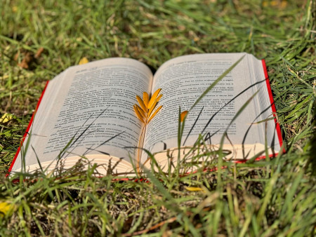 Borítókép: Könyvek őszre: ezeket olvasd a sötétebb napokon!