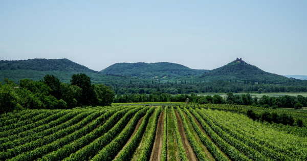 Borítókép: Ez az egyik legnépszerűbb magyar hegy, aminek nevét sokan külföldön is ismerik: A balatoni tanúhegyek nyomában 