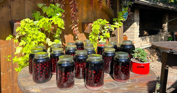 Borítókép: Fedezd fel Szlavónia erdei kincseit a tányérodon: felejthetetlen horvát gasztroélmények várnak rád csupán néhány órára Budapesttől