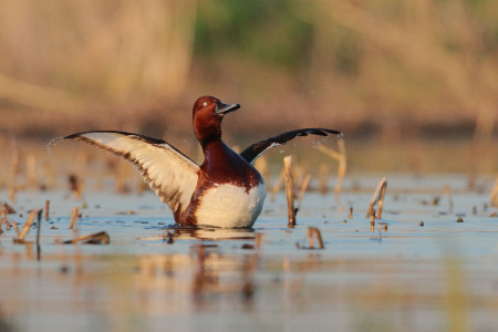 Borítókép: Környezettudatosság a túlköltés helyett: a dm idén is adománnyal színezi át a Black Friday napot