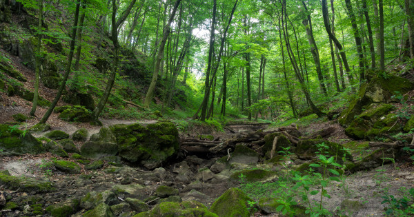 Borítókép: A Bakony legszebb őszi túrahelyei: ezeket érdemes felfedezned, ha erre jársz!