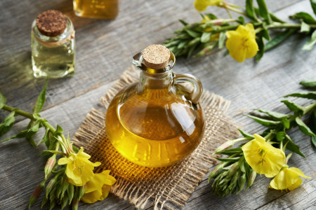 Borítókép: Gátolja a gyulladások kialakulását, külsőleg megszépít és még a fogyásban is segít: íme a ligetszépe olaj jótékony hatásai