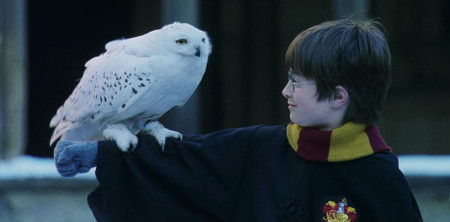 Borítókép: 10 érdekesség a Harry Potter és a bölcsek kövéből, amiről talán még nem is hallottál