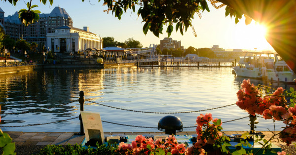 Borítókép: Hivatalos: ez a világ legbarátságosabb városa - máris mutatjuk a toplistát