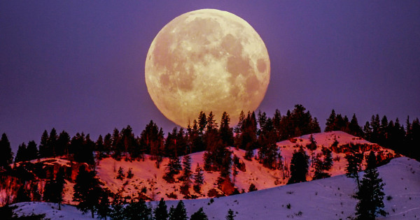 Borítókép: 5 csillagjegy, akinek gazdagságot és szerencsét hoz a decemberi telihold: rájuk nagyon pozitívan hat a Hideg Hold!