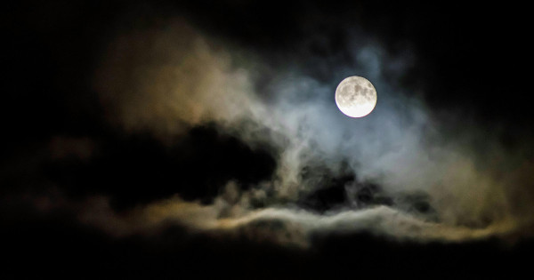 Borítókép: Az év utolsó teliholdja több csillagjegy életébe fordulatot hoz: mutatjuk, hogyan hat a zodiákusokra az asztrológus szerint ez az égi jelenség!