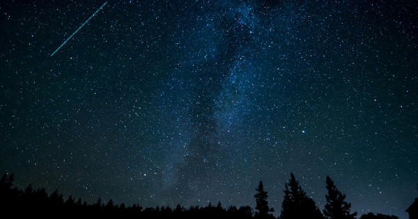 Borítókép: Karácsonyi horoszkóp: 5 csillagjegy, akinek mindenkinél meghittebb lesz az ünnepi időszak